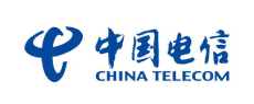 中国电信集团有限公司